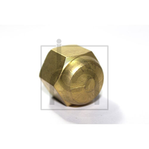 Hex Cap Nut  9