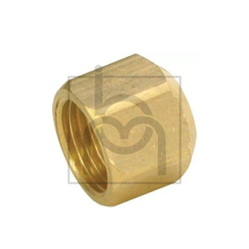 Hex Cap Nut 2